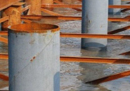 ��׮������